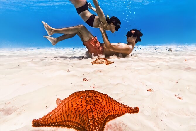 Exploration to El Cielo and Reefs: Live up close with stars - Cozumel’s Snorkeling Highlights: Columbia Reef and Palancar Reef