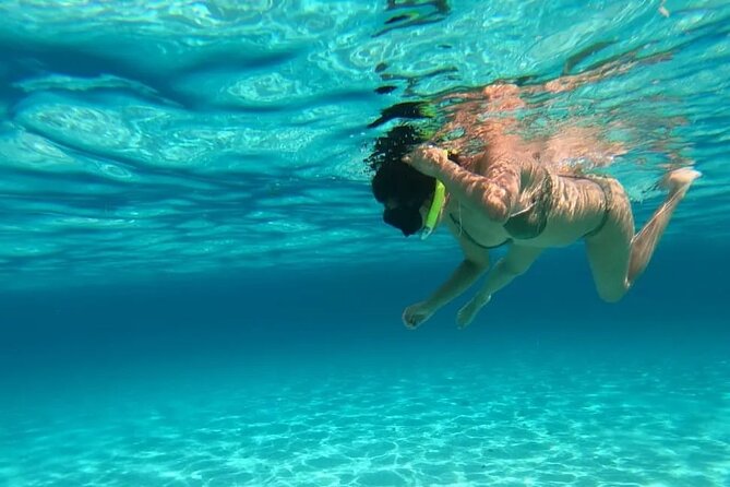 Exploration to El Cielo and Reefs: Live up close with stars - Guided Support and Marine Education