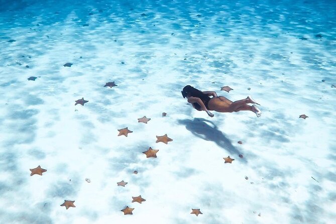 Exploration to El Cielo and Reefs: Live up close with stars - Value and Cost Considerations