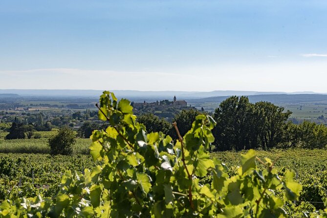 EXPLORATION - Visit of the estate, the cellars & tasting - Key Points