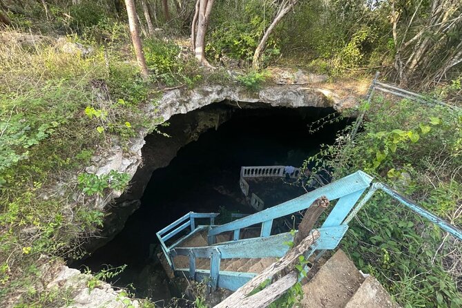 Explore 4 Amazing Cenotes with Lunch Tour from Merida - Cost and Value