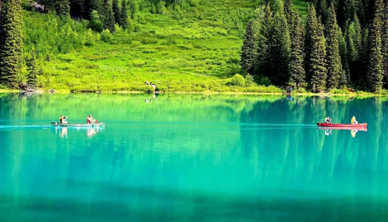 Explore 9 Spots: Private Customizable Banff Icefield Tour - Visiting Emerald Lake’s Vibrant Green Waters