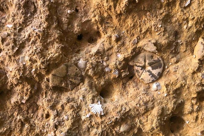 Explore Algarve Caves & Wild Beaches Kayak Tour - Weather and Its Impact on the Tour Experience