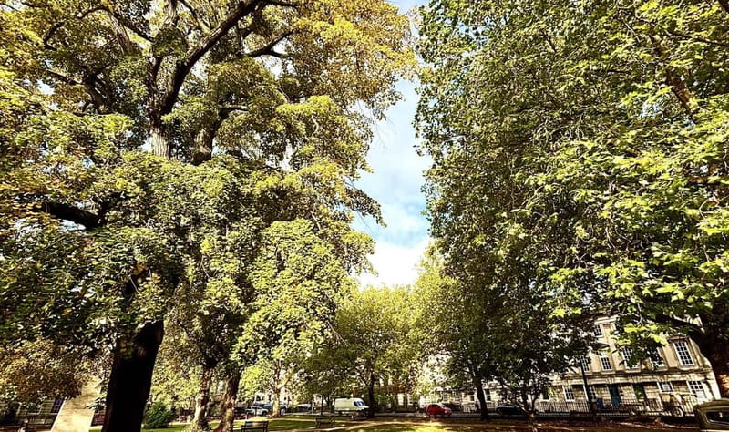 Explore Bath in Spanish: With Olga, local guide - The Cross Bath and Baths Healing Traditions