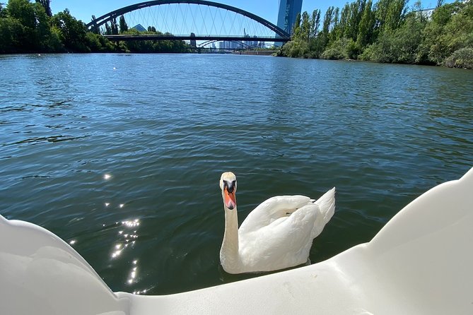 Explore Bird & Marine Wildlife private Boat Tour in English - Starting Point and Meeting Logistics in Frankfurt