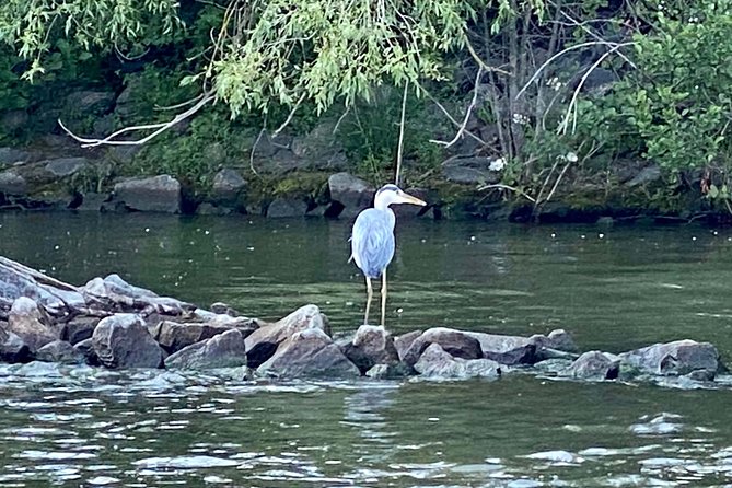 Explore Bird & Marine Wildlife private Boat Tour in English - Additional Considerations: Weather, Cancellations, and Best Use