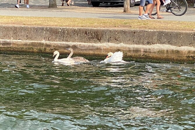 Explore Bird & Marine Wildlife private Boat Tour in English - Why Choose This Private Boat Tour in Frankfurt?