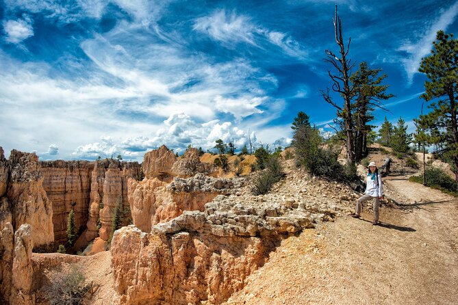 Explore Bryce Canyon: Private Full-Day Tour from Salt Lake City - Transportation and Comfort on the Full-Day Journey