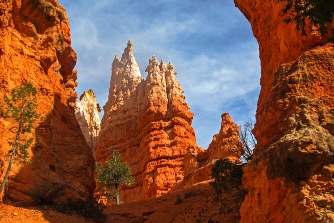 Explore Bryce Canyon: Private Full-Day Tour from Salt Lake City - Why Choose This Private Bryce Canyon Tour?