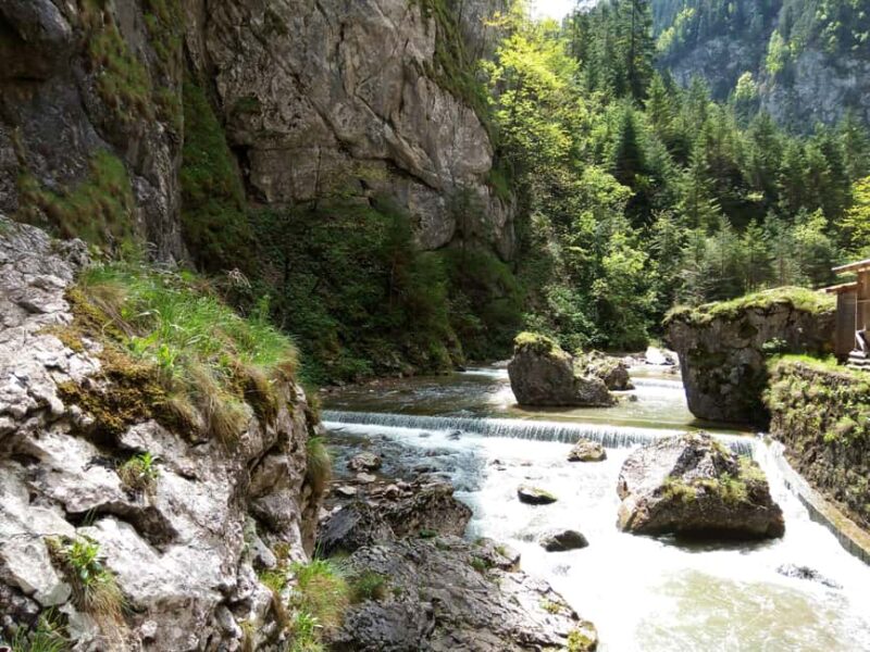 Explore Bucovinas UNESCO Painted Monasteries  3-Day Tour - Logistics and Group Experience