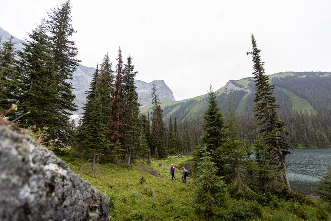 EXPLORE Canmore's HIDDEN Trails and Local Landmarks - 3H Hike - Weather and Cancellation Flexibility