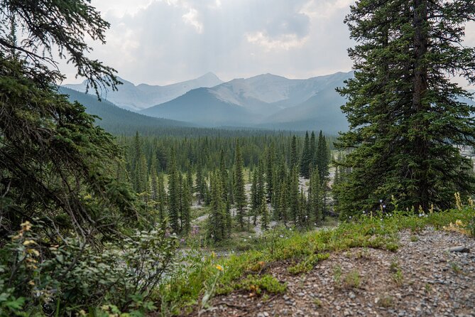 EXPLORE Canmore's HIDDEN Trails and Local Landmarks - 3H Hike - Comparing this Tour to Other Canmore Experiences