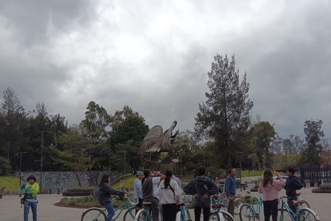 Explore Chapultepec & Mexico City sights by Bike - Discovering Chapultepec Park’s Natural Beauty