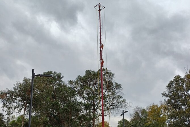 Explore Chapultepec & Mexico City sights by Bike - Practicalities: Booking, Safety, and Group Size