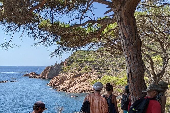 Explore Costa Brava & Tossa de Mar Coastal Trails, Snorkel & Meal - Snorkeling Gear Included for Underwater Adventures