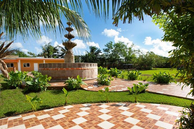 Explore Cozumel by Buggy with Beach Break & Tequila Tasting - Free Time in Cozumel’s Town Center