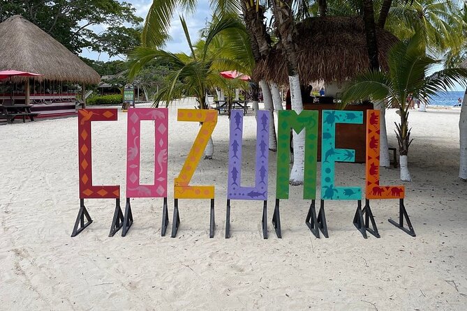 Explore Cozumel on a Buggy: Tour Around the Island! - Handling Mixed Reviews and Vehicle Conditions