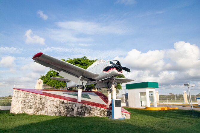 Explore Cozumel your Way Private Island Tour with Pro Guide - Guide Expertise and Customer Satisfaction