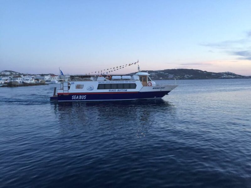 Explore Delos & Rhenia - Final Thoughts on the Delos & Rhenia Boat Trip
