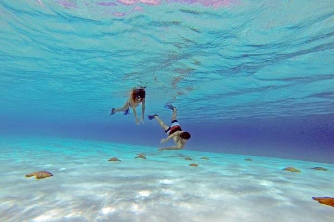 Explore El Cielo in Cozumel. Snorkel in 3 different reefs & visit Cielito Beach. - Snorkeling in the Iconic Palancar Reef and Colombia Reef