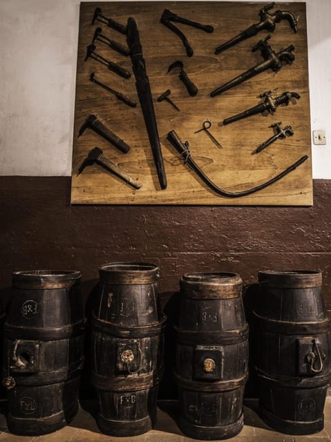 Explore Elegance: Savor 3 Exquisite Wines at Tenuta Bossi - The Art of Tuscan Wine Tasting