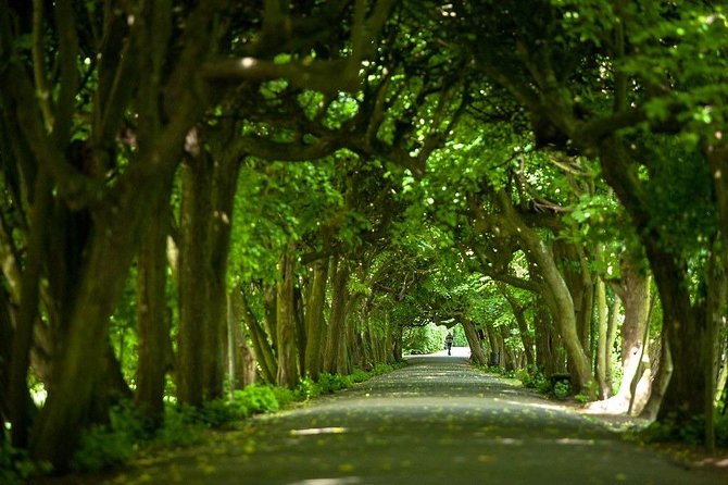 Explore Gdask: 6-Hour Private Guided Tour of Key Highlights - Practical Details and Booking Considerations