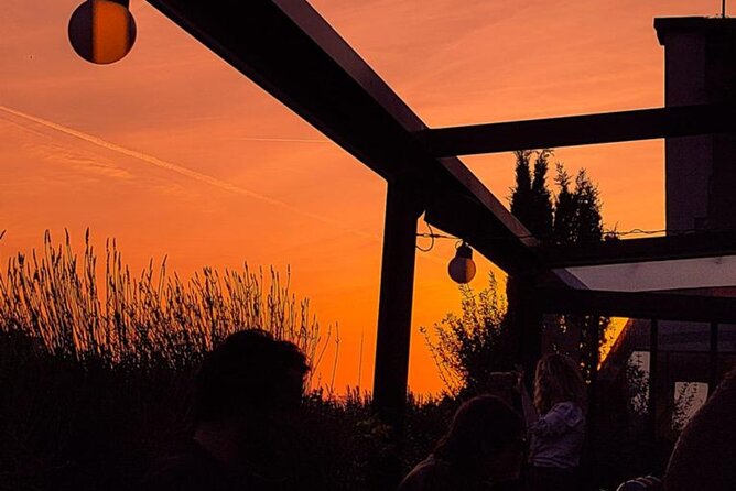 Explore hidden bars and speakeasy in Paris - Honesty About Limitations