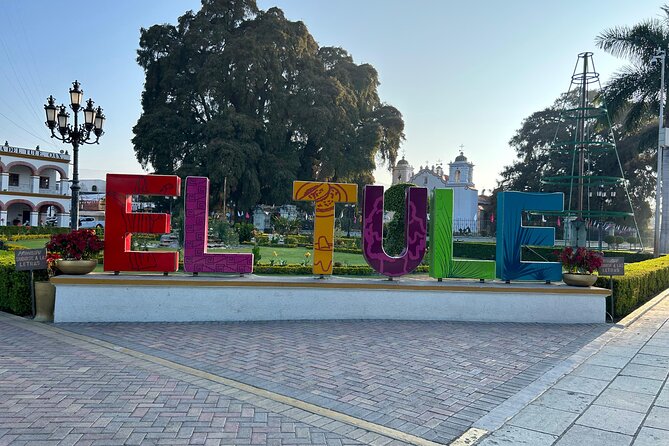 Explore Hierve el Agua, Mitla, Tule, Textile and Mezcal for a day - Mezcal Tasting at El Rey de Matatlan