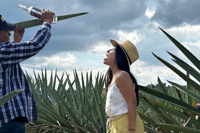 Explore Hierve el Agua, Mitla, Tule, Textile and Mezcal for a day - Practical Details: Meeting Point and Group Size