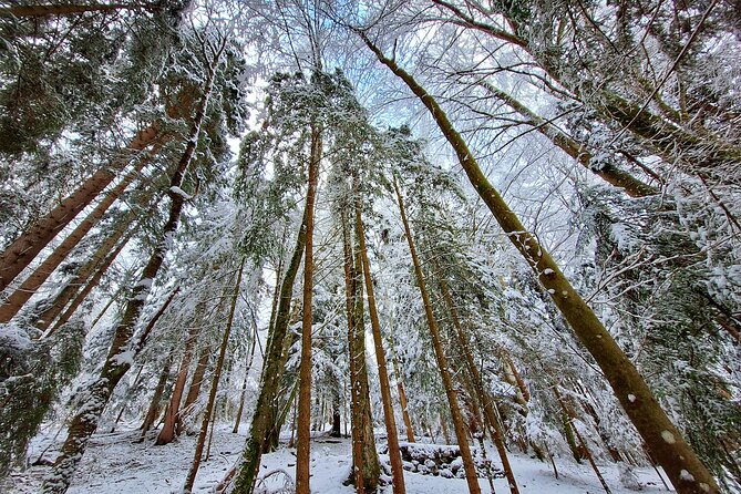 Explore Hitlers Mountain World War II Tour - The Guides and Their Expertise