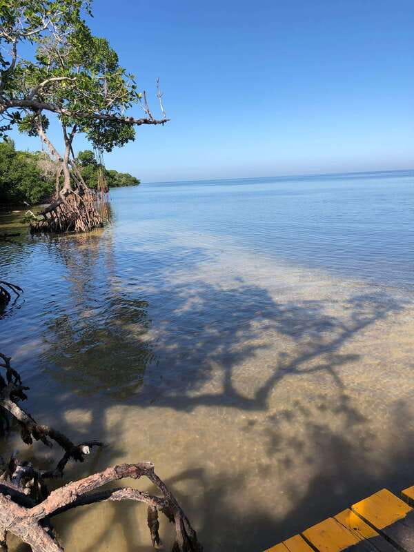 Explore Holbox Island VIP - 4 Points + Guacamole - Experience Yalahau: The Freshwater Spring