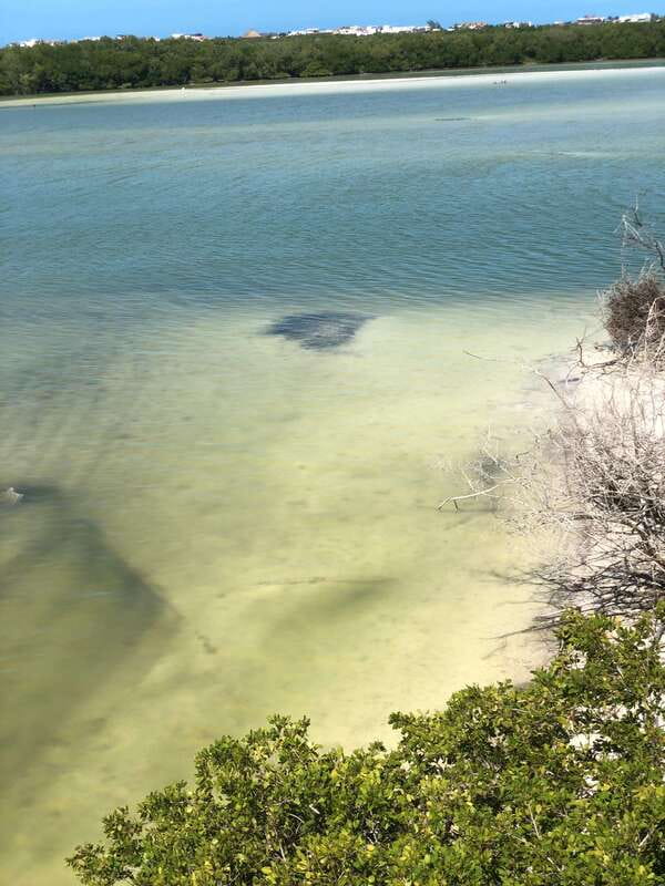 Explore Holbox Island VIP - 4 Points + Guacamole - Included Amenities and Practical Details