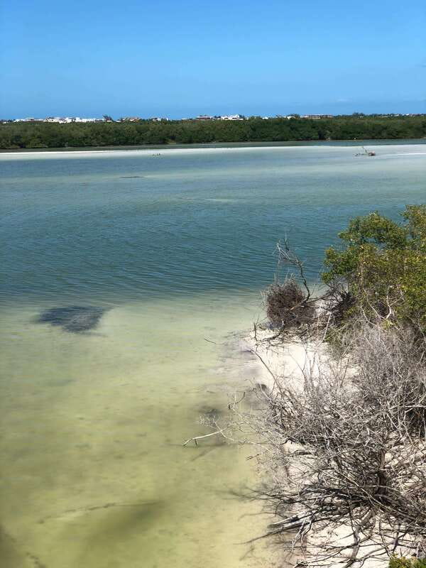 Explore Holbox Island VIP - 4 Points + Guacamole - Why This Tour Fits the Holbox Experience
