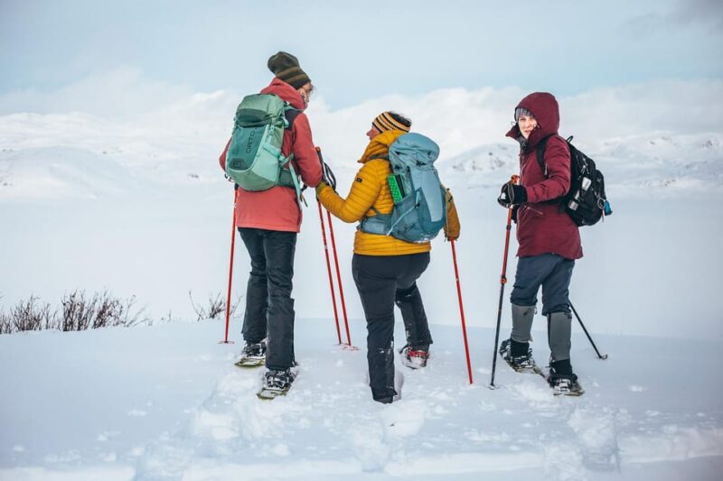 Explore Jotunheimen - 2 Days with Snowshoeing and Snowcoach - Who Will Appreciate This Jotunheimen Experience?