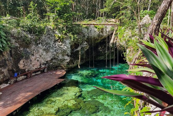 Explore Kaan Luum Lagoon and Two Cenotes - Key Points