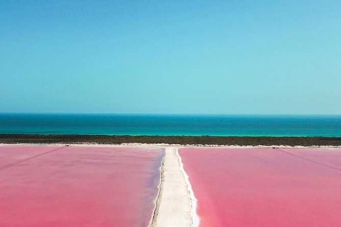 Explore Las Coloradas & Rio Lagartos from Riviera Maya - Key Points