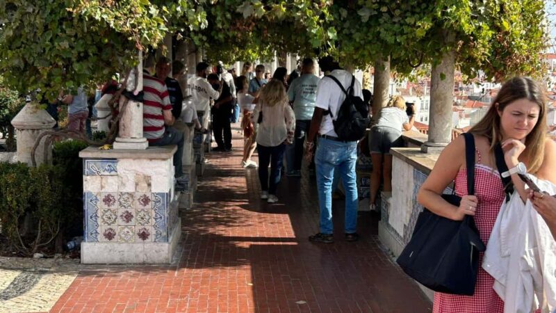 Explore Lisbon's Historic Sites on Foot - Practical Details: Meeting Point and Tour Logistics