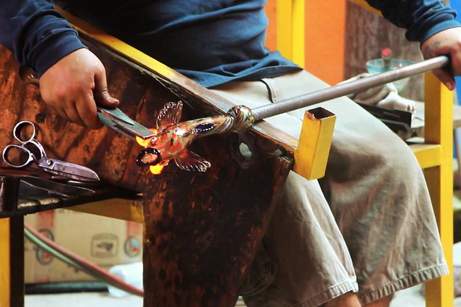 Explore Los Cabos City Tour, Glass-Bottom Boat Ride, Lunch and Shopping! - Suitability and Considerations