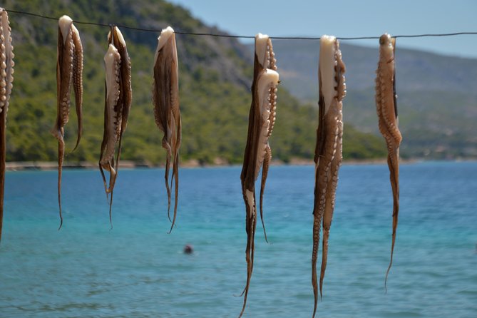 Explore Loutraki & Lake Vouliagmeni: Nature and Relaxation - Practical Details: Logistics and Comfort