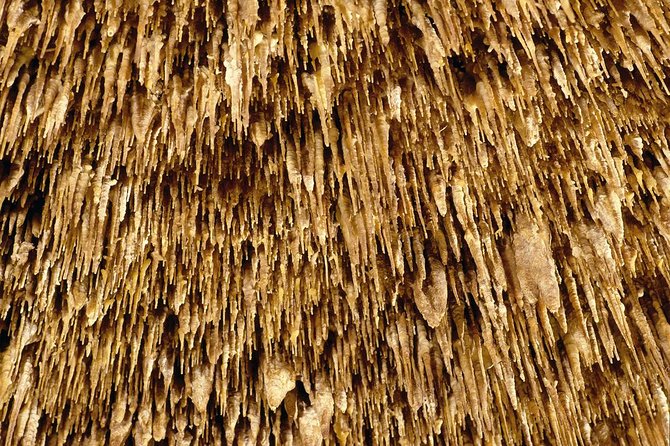 Explore Mallorca: Majorica Pearl Shop and Caves of Drach - The Magic of the Lake Martel Light Show and Classical Concert