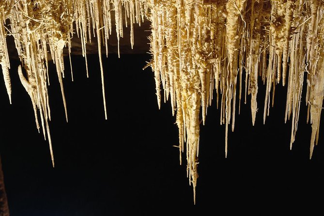 Explore Mallorca: Majorica Pearl Shop and Caves of Drach - Physical Requirements and Accessibility Tips