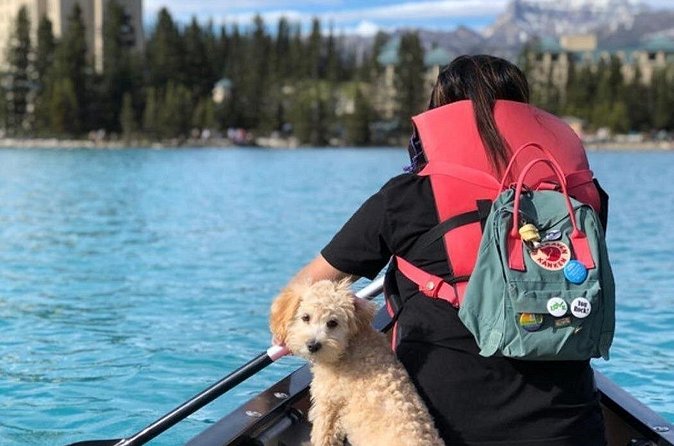 Explore Moraine Lake & Lake Louise  Round Trip Shuttle - Discovering Lake Louise’s Glacial Beauty