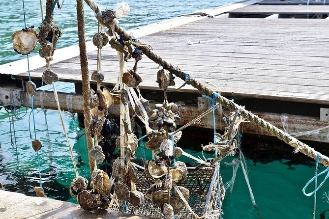 Explore Mostar, Ston and Kravice Waterfalls ( Small Group ) - Free Time for Food, Shopping, and Exploring