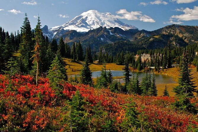Explore Mt. Rainier National Park with a Local Guide - Explore Mt. Rainier National Park with a Local Guide for $235