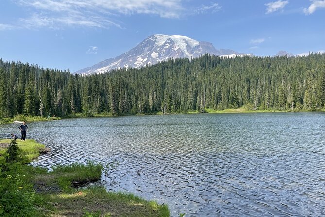 Explore Mt. Rainier National Park with a Local Guide - Explore Paradise’s Wildflower Meadows and Mountain Views