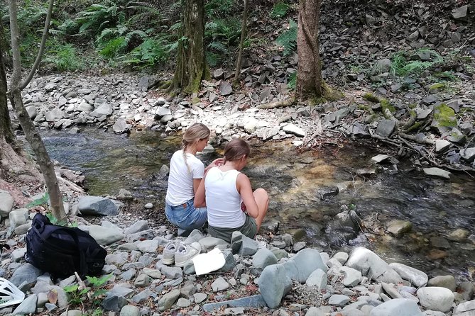 Explore Paphos forest with e-mountain bikes - Traditional Meze Lunch in a Mountain Village