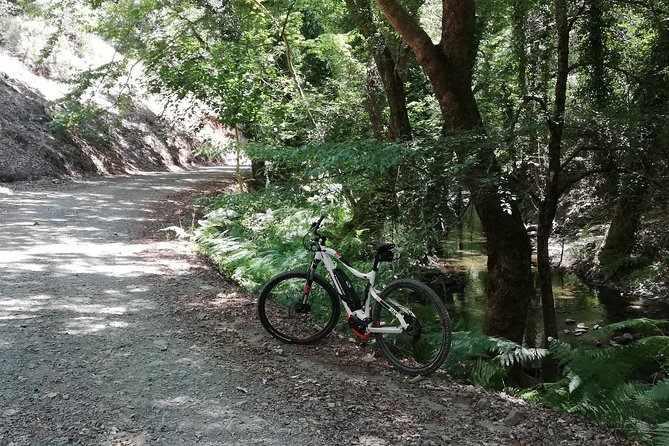 Explore Paphos forest with e-mountain bikes - Physical Requirements and Accessibility