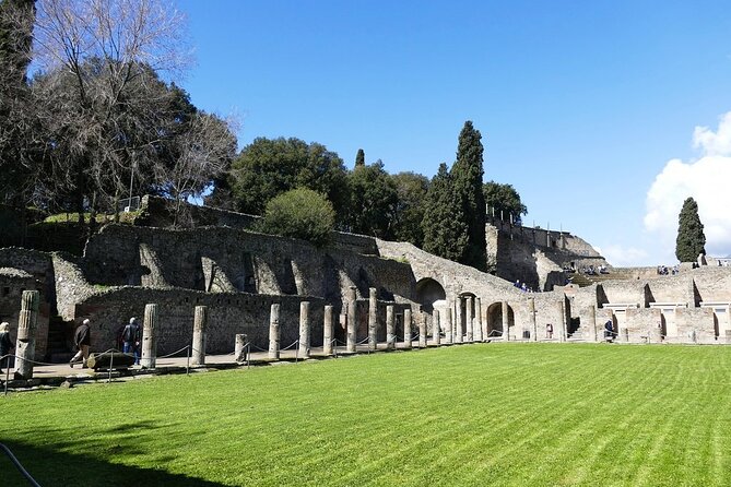 Explore Pompeii: Half-Day Highlights Tour with Pickup from Naples - The Guide Experience and Tour Pace