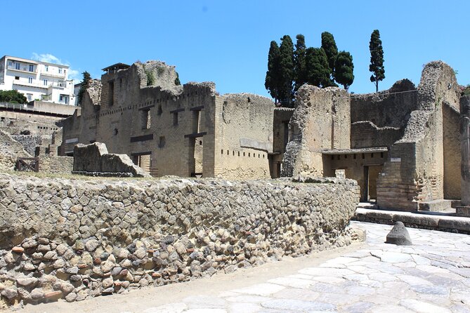 Explore Pompeii & Herculaneum on a Private Guided Tour - Scenic Return to Naples via the Bay of Naples