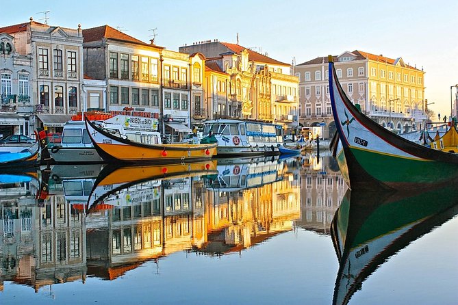 Explore Porto & Aveiro within Riverboat Cruises - Private Full Day Tour from Lisbon with Lunch - Flexibility and Personalization in the Tour Experience